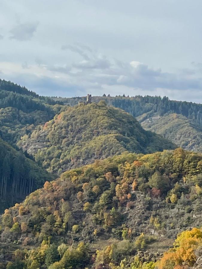 Kirschbaum *