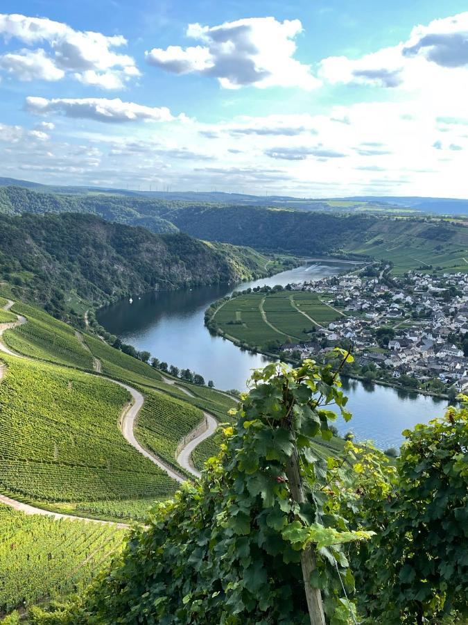 Kirschbaum *