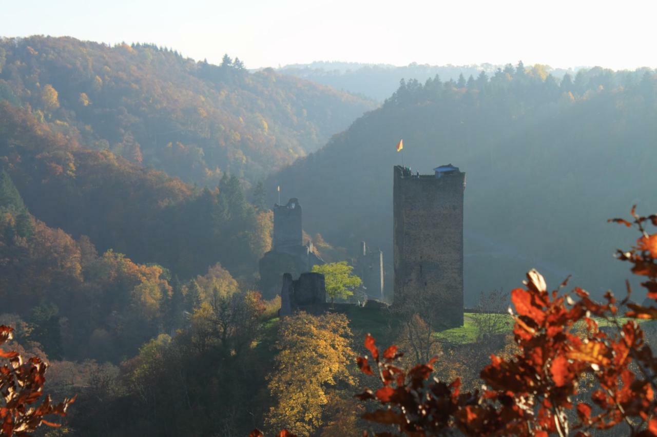 Kirschbaum